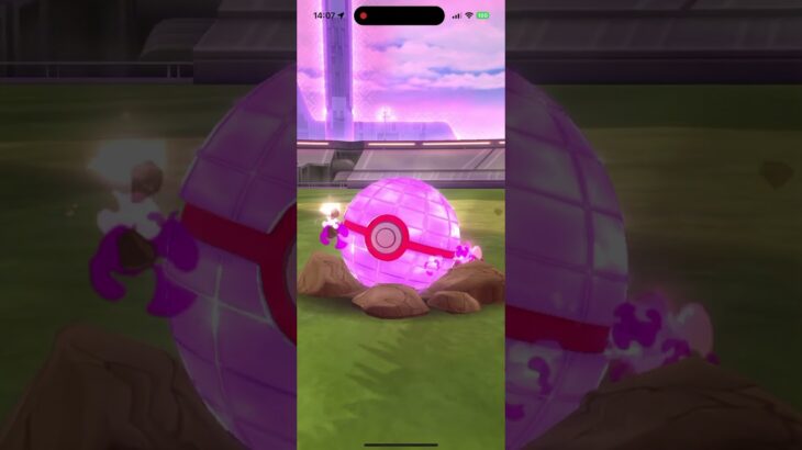 【ポケモンGO】キョダイマックス　カイリキー【色違い】