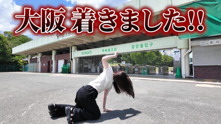 大阪ああああああああああ!!!!!!!!【ポケモンGO】