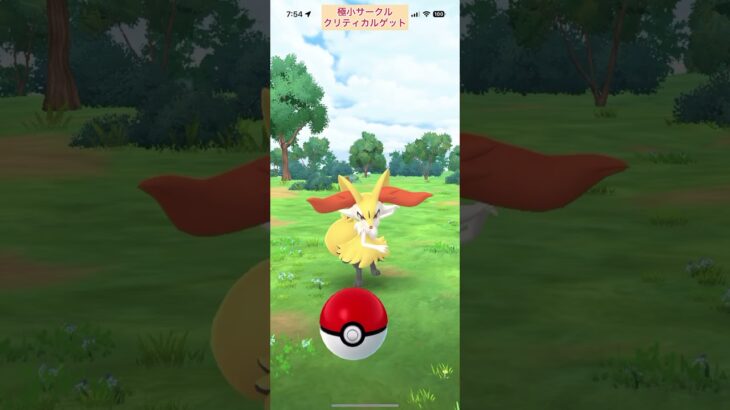 【難易度低】テールナー極小サークルクリティカルゲット【ポケモンGO】