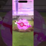 色違いダイマックススイクンゲットチャレンジ【ポケモンGO】