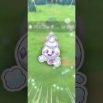 こんな暑い日に、なんでバニプッチなんだ【ポケモンGO】