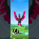 【ポケモンGO】ガラルファイヤー DAY1 未だに捕まえたことがありませんw