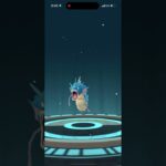 ポケモンGO コイキング　ギャラドス　#ポケモンGO #コイキング　#ギャラドス