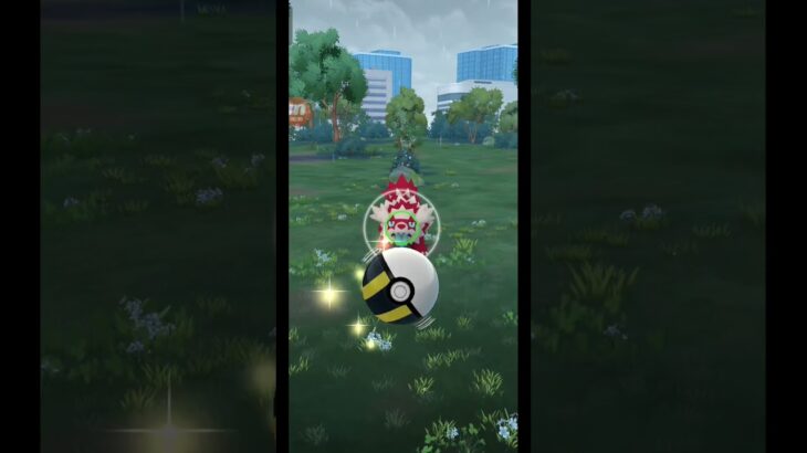 ポケモンGOジグザグマ色違いゲット！！ #ポケモンGO