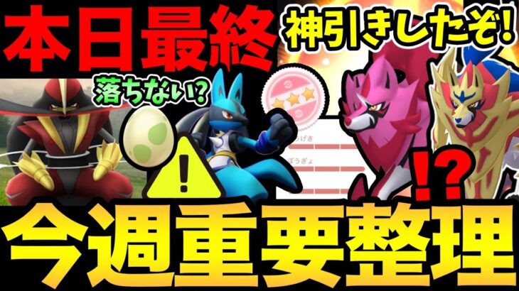 今日はまだダメ！時間にも注意して！見落としがちなポイントも！今週は新ポケに新コスチューム！そして神引きも！【 ポケモンGO 】【 GOバトルリーグ 】【 GBL 】