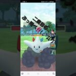 ポケモンGO 通常マスターリーグ ドサイドン、Lカイリュー、アシレーヌ