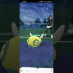 ポケモンGO 通常スーパーリーグ Sガラガラ、ラウドボーン、カメックス