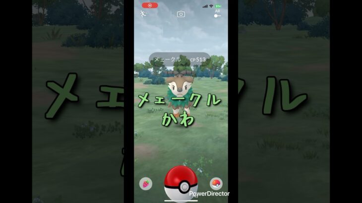 【 ポケモンGO 】メェークルかわ#ポケモンgo #メェークル