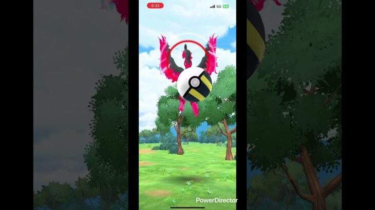 【 ポケモンGO 】ガラルファイヤー最近よくあいます#ポケモンgo #ガラル三鳥