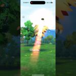 色違いガラルサンダーゲットゲットチャンス！！【ポケモンGO】【色違いガラルサンダー】 #ポケモンgo #ポケモン #pokemongo