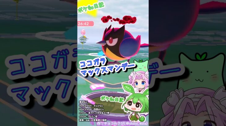 【ポケGO日記】ココガラ マックスマンデー！ついついムダづかい？ #ポケモンgo  #ココガラ #ダイマックス #マックスマンデー #pokemongo #shorts