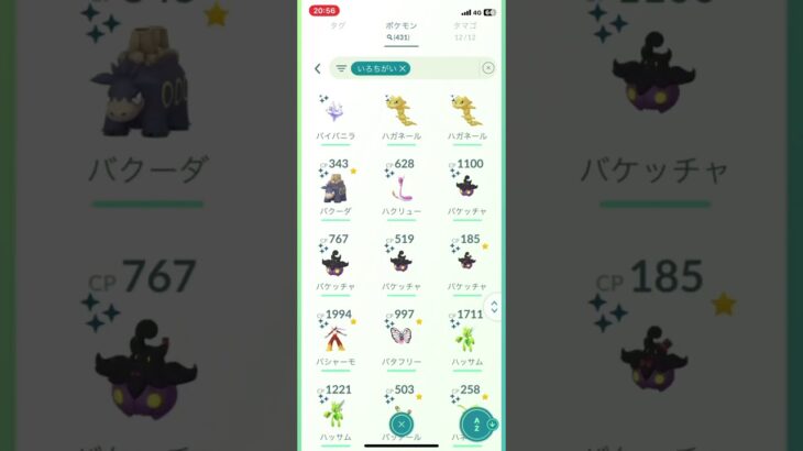 色違い紹介！！#ポケモンGO  #pokemon  #ポケモン好きと繋がりたい