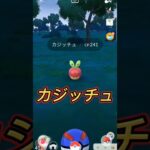 【ポケモンGO】カジッチュで大喜び！？ #ポケモン #pokemon #shorts