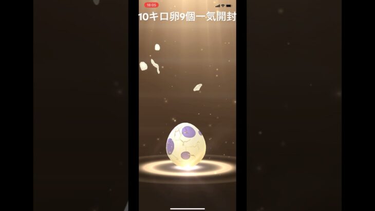 ポケモンGO10キロ卵9個一気開封‼︎#ポケモン #ポケモンgo #やりますねぇ #まあまあ良かった