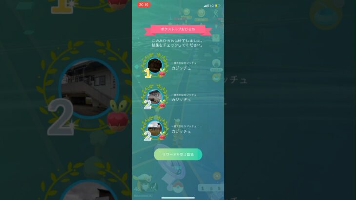 ポケモンGOカジッチュお披露目1位2位2位リワード結果#ポケモン #ポケモンgo #pokemongo