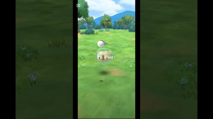 【ポケモンGO】今日のExcellent #陰キャのゲンガー #ポケモンgo