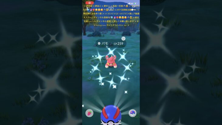 ✨【世界一確率破壊する漢】【ポケモンGO】【激レア背景色違いパモちゃん神回神引き】📹❤️‍🔥💎🔮😉🤗🥰🐺😎✨超激レア背景色違い神引き証拠お観せ致します✨#ポケモンgo #ポケモン