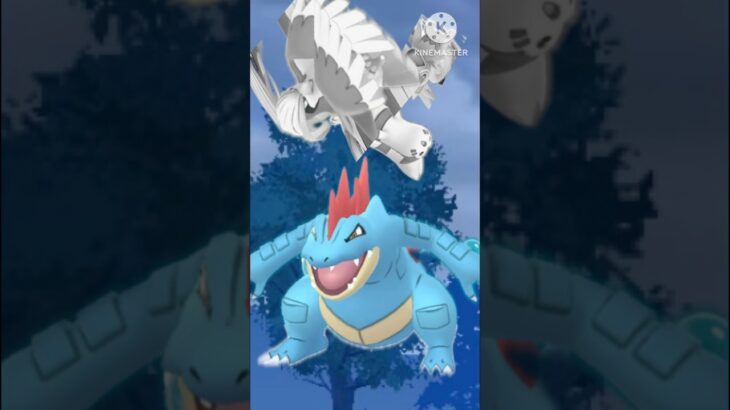 【ポケモンGO】ノーマル統一にも屈しない神ポケオーダイル(レトロカップ)#ポケモンgo #goバトルリーグ #shorts