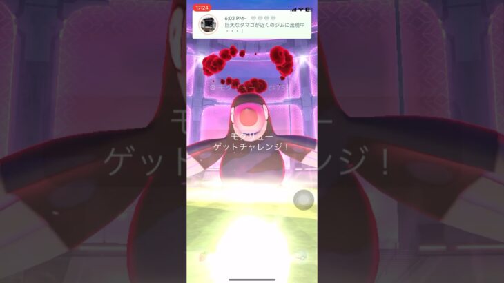 ポケモンGOマックスバトルモグリューゲットできたかな？　#ポケgo #pokemongo #ポケモンgo #pokemon #ポケゴー #ポケモン #モグリュー  #shorts #short