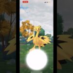 【ポケモンGO】色違いガラルサンダーモンボでゲットチャレンジ！#ポケモンgo #shorts