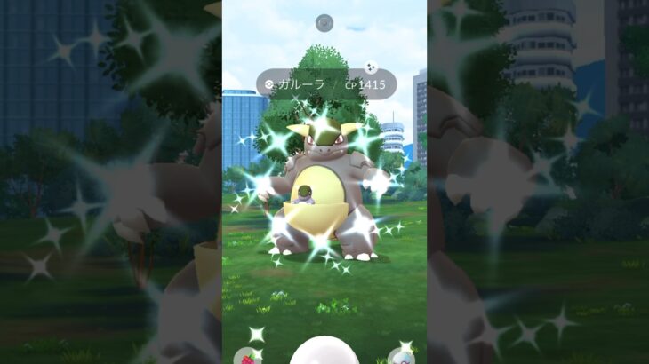 【ポケモンGO】ガルーラ！レイドデイで高個体＆色違いチャレンジ！！#nintendo #pokemon #pokemongo #ポケモン #ポケモンgo #色違い #ガルーラ #shorts