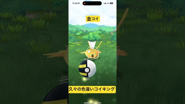 【ポケモンGO】コイキング　【色違い】　#ポケモン#pokemon #色違い