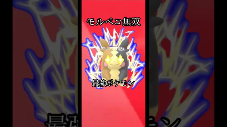 最強のモルペコ#ポケモンGO#shorts #gbl