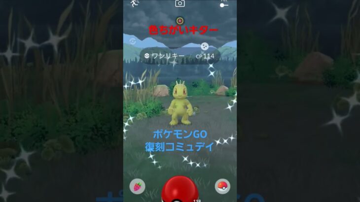 ポケモンGO　色違いワンリキー来た！#shorts #ポケモンgo #ポケモン #pokemongo #バズれ