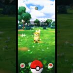 I Caught a Wild Shiny Growlithe in Pokemon GO Shorts ✨️✨️✨️