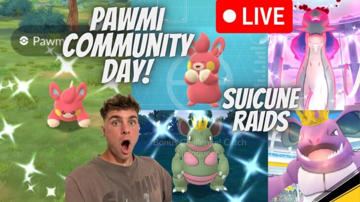 ✨Pawmi Community Day and Dynamax Suicune Raids in Pokemon Go LIVE!✨