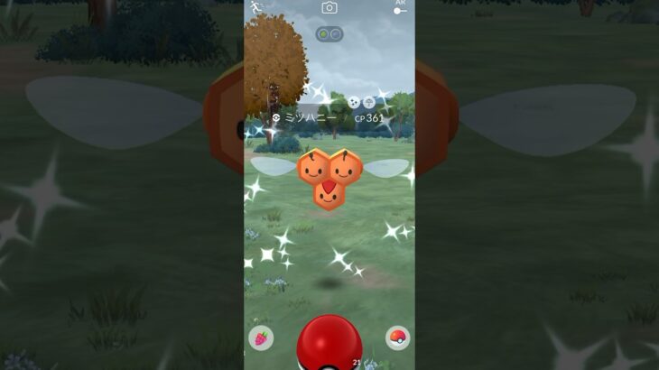 【Pokémon GO】 Shiny Combee ♀ GET✨