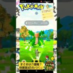 【Pokémon GOポケポケ】色違いクリムガンGETだぜ！「PIGGSバンバン水筒GET」feat.熊本のおすすめ弁当唐王の唐揚げwith保護猫チャッピー君#ポケモンGO#PIGGS#熊本グルメ
