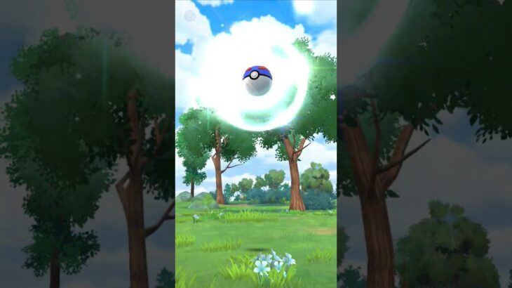 Pokemon Go Catch!!!!    #shorts #pokemon #pokemongo #gottacatchemall