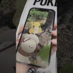 Pokémon: Go (special)