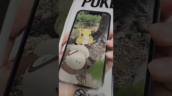 Pokémon: Go (special)