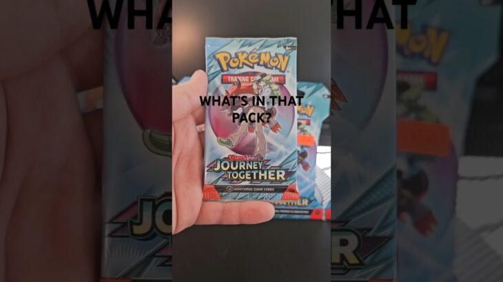 What’s In That Pack?- Episode 5- journey together
