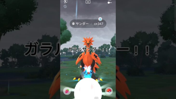 逃げないガラルサンダー！？捕まるのか！？#ポケモンgo #ポケモン