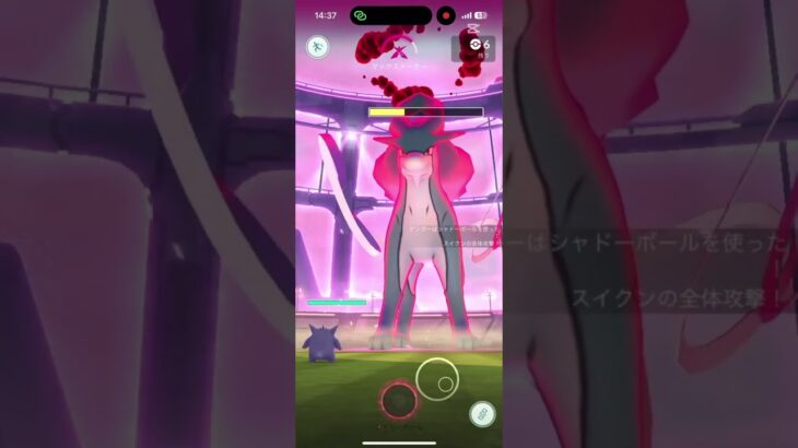 キョダイマックススイクン討伐#ポケモンgo #ポケモン