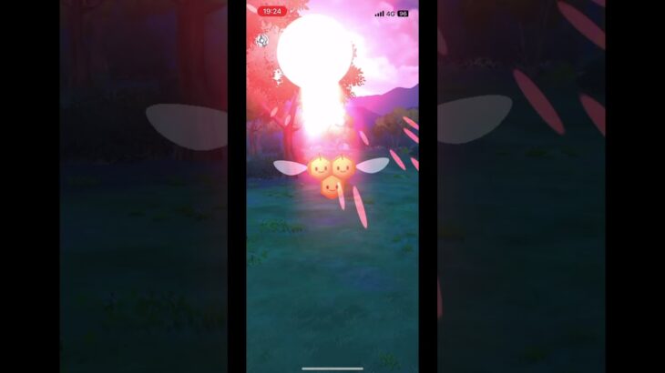 ポケモンgo ミツハニー捕まえて来た🐝🍯