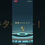 色違いパールル進化ガチャ #ポケモン #ポケモンgo #色違い