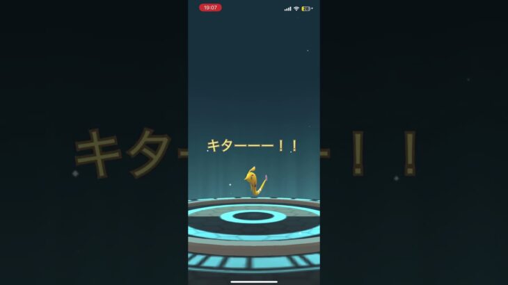 色違いパールル進化ガチャ #ポケモン #ポケモンgo #色違い
