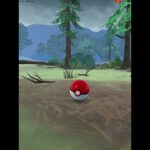 色違い　ワンリキー　#色違いポケモンgo