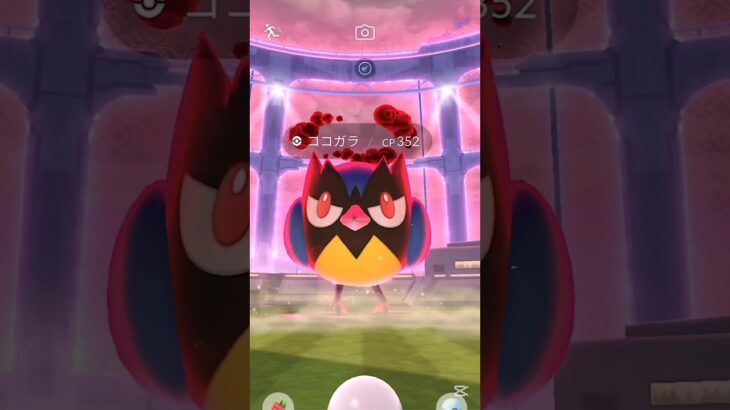 【ココガラのマックスバトルやってみた】 #ポケモン #ポケモンgo