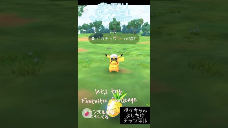 【ピカチュウ！会えたね！隊長！】#ポケポケ #ポケモンgo