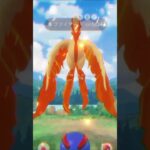 ガラル三鳥 #ポケモンgo
