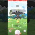 カプブルル色違いきた！#ポケモン #ポケモンgo #ポケモン色違い #ポケモンgo色違い