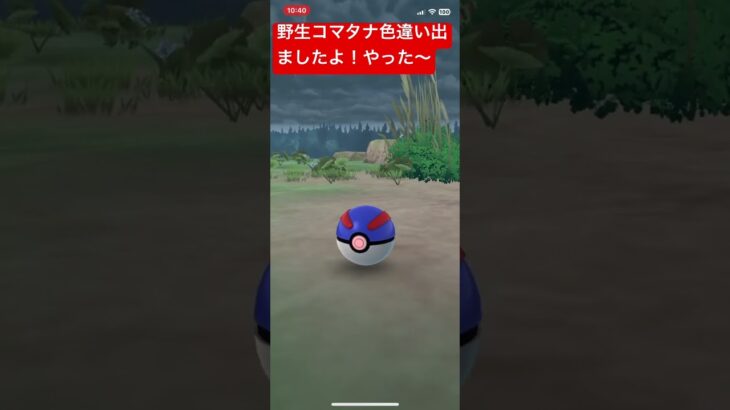 コマタナ色違い#ポケモンgo #ポケモンgo色違い #pokemongo #pokemon