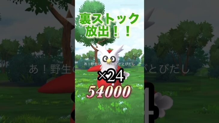 【ポケモンgo】裏ストック大放出#ポケモン #ポケモンgo #shorts