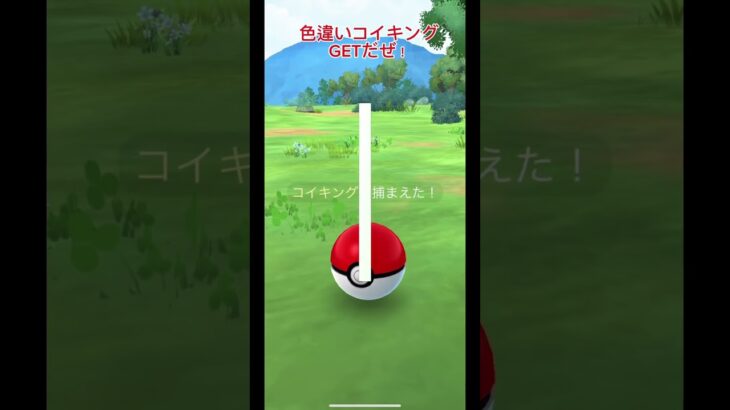色違いコイキングゲット！#ポケモン #ポケモンgo #pokemon #pokemongo #niantic #色違い #コイキング#健やかな成長#新イベント開始