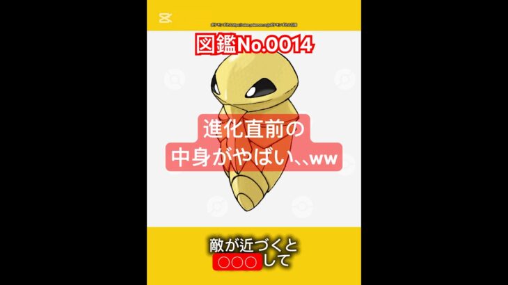 ポケモン雑学【コクーン】#ポケモン #pokemon #pokémon #ポケポケ #ポケモンgo   #ポケモン雑学 #ポケモンカード #ポケモンsv #anime  #japan #コクーン #虫